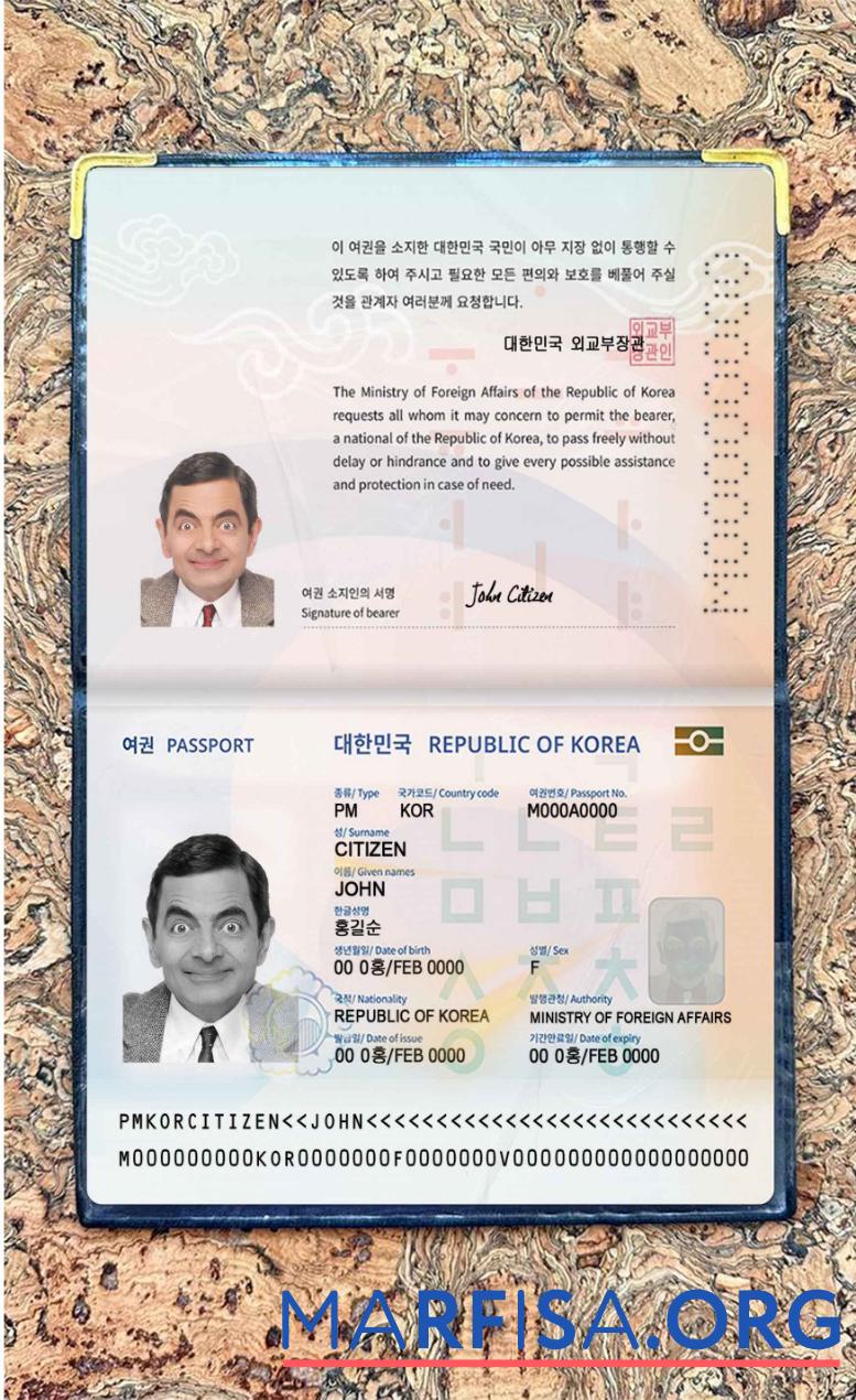 Blank Korea passport (2021 present) photo look template